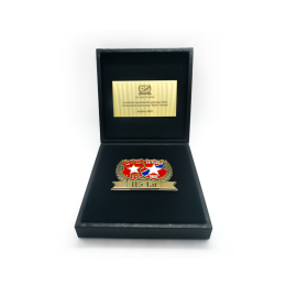 NIENUMEROWANA Wpinka jubileuszowa "115 TS WISŁA"