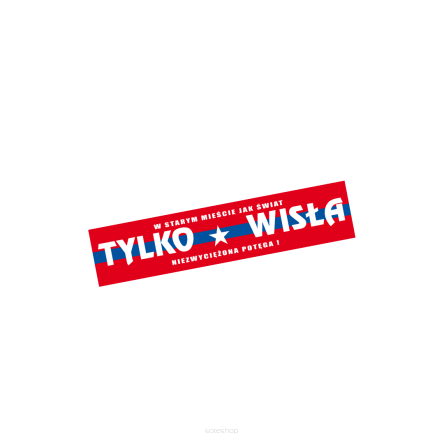 Magnes na lodówkę 