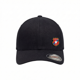 Czapka "Gumka 3D kolorowy herb" FLEXFIT